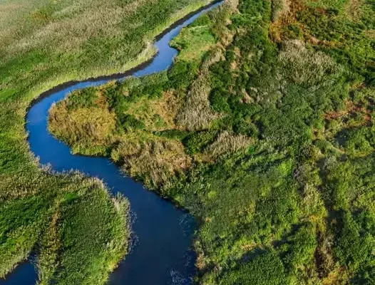 Wsparcie dla przedsiębiorców nad szlakiem Pisa-Narew – bezpłatny wpis i preferencyjne pożyczki