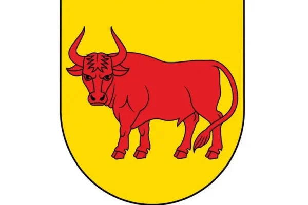 Żołnierze 1 Podlaskiej Brygady Obrony Terytorialnej szkolą się na terenie Gminy Wizna