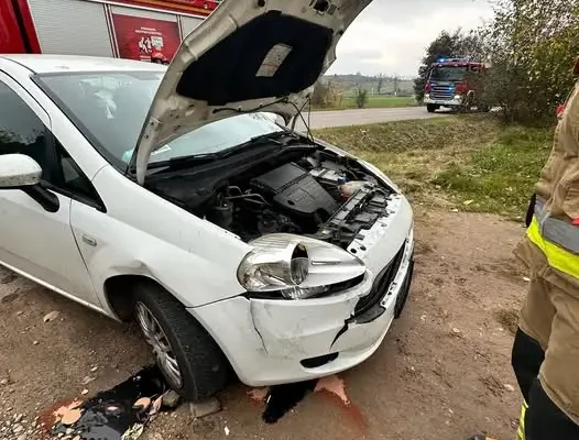 Kolizja ze zwierzęciem w Piątnicy Poduchownej – interweniowali strażacy